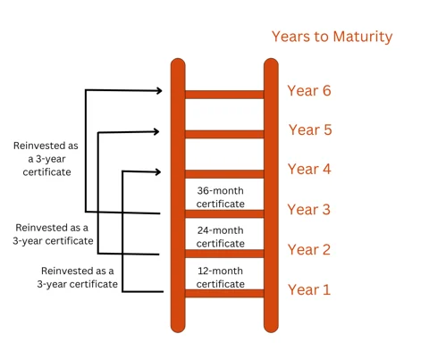 An infographic illustrating a certificate laddering strategy, showing a ladder with labels for Years to Maturity from Year 1 to Year 6 and detailing reinvestment options for 12-month, 24-month, and 36-month certificates.