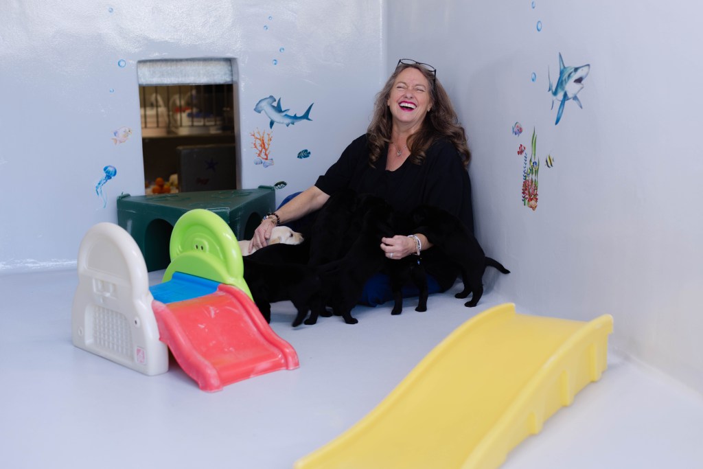 A woman sitting on the floor of a playroom, smiling and surrounded by playful puppies. Colorful toys and a small slide are visible in the background.